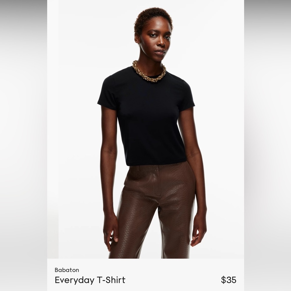 Babaton Everyday T Shirt Aritzia